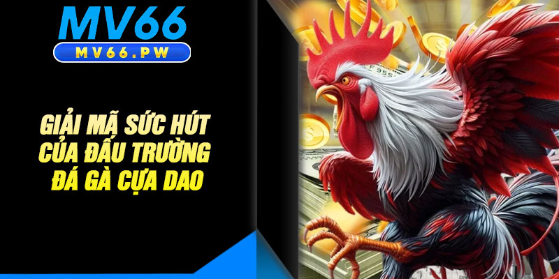 Giải Mã Sức Hút Của Đấu Trường Đá Gà Cựa Dao 