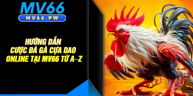 Hướng Dẫn Cược Đá Gà Cựa Dao Online Tại MV66 từ A–Z 